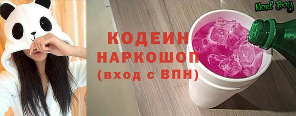 соль ск Каменногорск