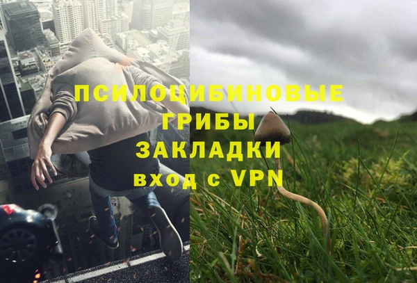 твердый Карталы