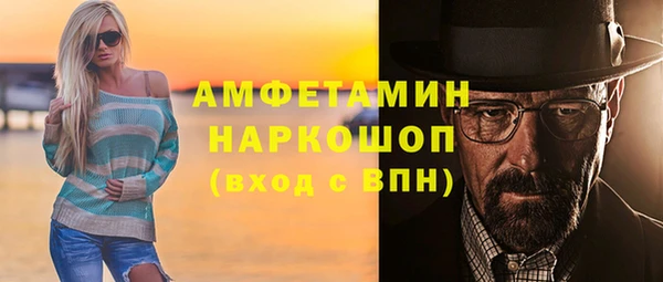 ПСИЛОЦИБИНОВЫЕ ГРИБЫ Каменка