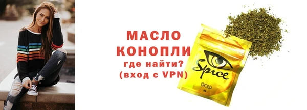 соль ск Каменногорск