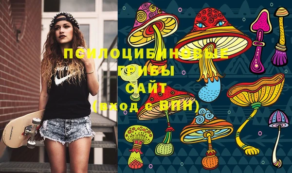 соль ск Каменногорск
