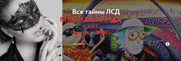 соль ск Каменногорск