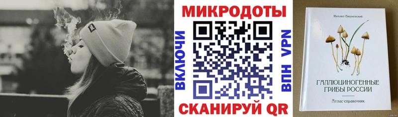 Галлюциногенные грибы мухоморы  Купить закладки  Североморск 